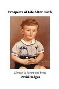 Enlarge image Cover: Prospects of Life After Birth - David Hedges