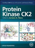 Cover: Protein Kinase CK2 (The Wiley-IUBMB Series on Biochemistry and Molecular Biology) - Wiley