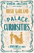 Cover: The Palace of Curiosities - The Borough Press