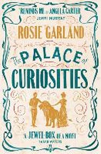 Enlarge image Cover: The Palace of Curiosities - The Borough Press