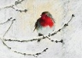 Cover: DLX Bx: English Robin in Winter - Peter Pauper Press