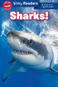 Cover: Ripley Readers Level1 Sharks - Ripley Publishing