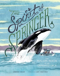 Enlarge image Cover: The Spirit of Springer - Sasquatch Books