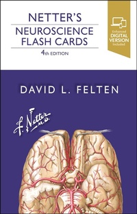 Abbildung von: Netter's Neuroscience Flash Cards - Elsevier