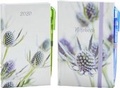 Cover: 2020 Pocket Diary Set 2020 - Eaglemoss Ltd