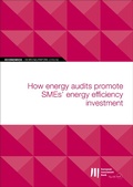 Cover: EIB Working Papers 2019/02 - How energy audits promote SMEs' energy efficiency investment - European Investment Bank