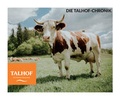 Cover: Die Talhof-Chronik - Amthor Verlag