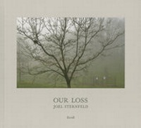 Enlarge image Cover: Our Loss - Steidl