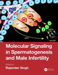 Abbildung von: Molecular Signaling in Spermatogenesis and Male Infertility - CRC Press