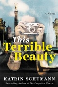 Cover: This Terrible Beauty - Lake Union Publishing