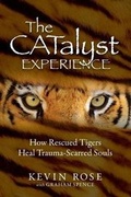 Cover: The Catalyst Experience - Kevin Rose DBA Grounded Publishing