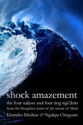 Cover: Shock Amazement - Aro Books Worldwide