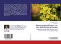 Cover: Management of fistula -in-ano by Ksharsutra therapy - LAP Lambert Academic Publishing