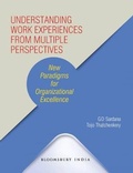 Cover: Understanding Work Experiences from Multiple Perspectives - Bloomsbury Publishing India Pvt Ltd