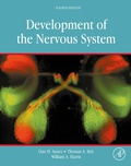 Cover: Development of the Nervous System - Academic Press