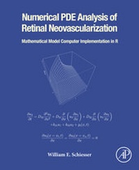Abbildung von: Numerical PDE Analysis of Retinal Neovascularization - Academic Press