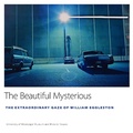 Cover: The Beautiful Mysterious - Penguin Random House South Africa