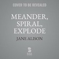 Cover: Meander, Spiral, Explode - Blackstone Publishing