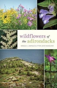 Abbildung von: Wildflowers of the Adirondacks - Johns Hopkins University Press