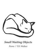 Cover: Small Waiting Objects - Cw Books
