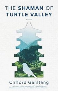 Enlarge image Cover: The Shaman of Turtle Valley - Braddock Avenue Books