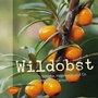 Cover: Wildobst - Verlag Eugen Ulmer