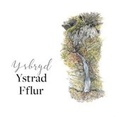 Cover: Ysbryd Ystrad Fflur - Gwasg Gwynfil