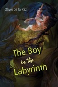 Cover: The Boy in the Labyrinth - University of Akron Press