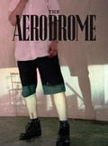 Cover: The Aerodrome - Ikon Gallery Ltd