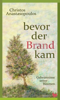 Abbildung von: Bevor der Brand kam - Größenwahn Verlag