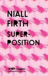 Enlarge image Cover: Super-Position - Eyewear Publishing