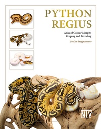 Abbildung von: Python regius - Natur und Tier