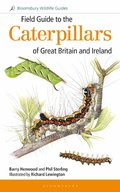 Cover: Field Guide to the Caterpillars of Great Britain and Ireland - Bloomsbury Wildlife