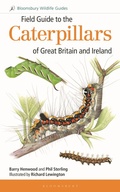 Cover: Field Guide to the Caterpillars of Great Britain and Ireland - Bloomsbury Wildlife