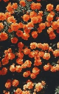 Enlarge image Cover: grow - Createspace Independent Publishing Platform