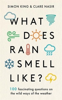 Abbildung von: What Does Rain Smell Like? - BLINK Publishing