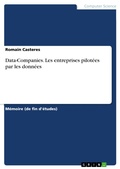 Cover: Data-Companies. Les entreprises pilot&eacute;es par les donn&eacute;es - GRIN Verlag
