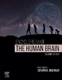 Abbildung von: Encyclopedia of the Human Brain - Elsevier