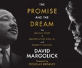 Cover: The Promise and the Dream - Dreamscape Media