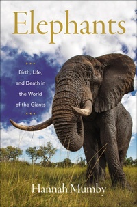Abbildung von: Elephants - Harper