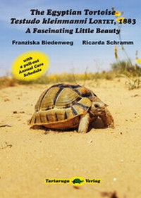 Abbildung von: The Egyptian Tortoise, Testudo kleinmanni Lortet, 1883 - Tartaruga-Verlag