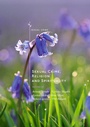 Cover: Sexual Crime, Religion and Spirituality - Palgrave Macmillan
