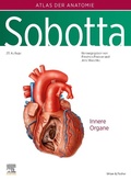 Cover: Sobotta, Atlas der Anatomie des Menschen Band 2 - Urban & Fischer