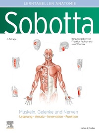 Abbildung von: Sobotta Lerntabellen Anatomie Muskeln, Gelenke und Nerven - Urban & Fischer