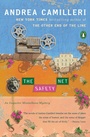 Cover: The Safety Net - Penguin Books