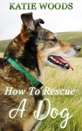 Cover: How To Rescue A Dog - LST Publishing