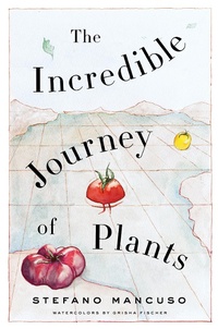 Abbildung von: The Incredible Journey of Plants - Other Press