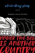 Cover: While They Sleep (Under the Bed Is Another Country) - Birds