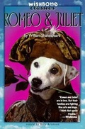 Cover: Romeo & Juliet - HarperCollins