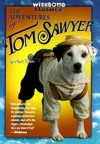 Enlarge image Cover: The Adventures of Tom Sawyer - HarperCollins